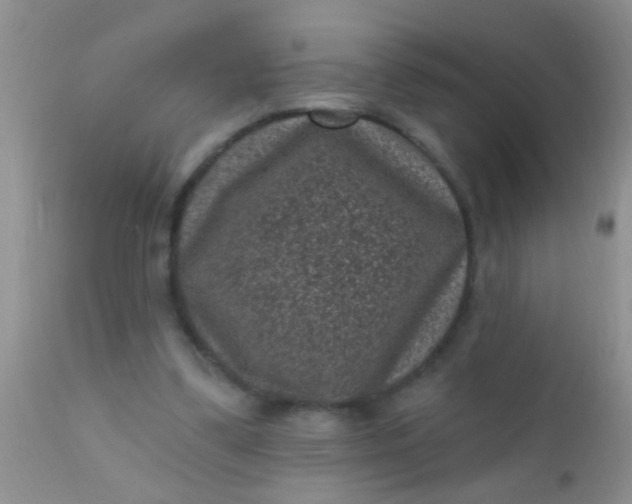 X0000110940299200907022139