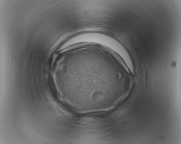 X0000110940300200907022139