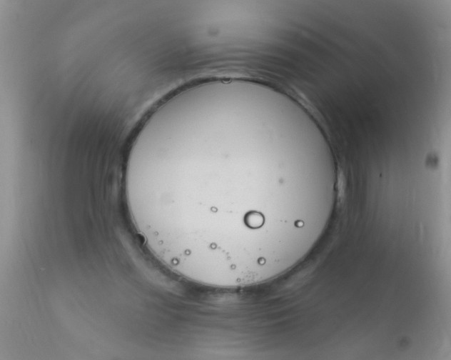 X0000110940301200907022139