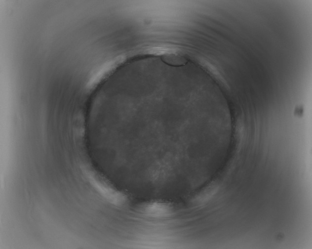 X0000110940303200907022139