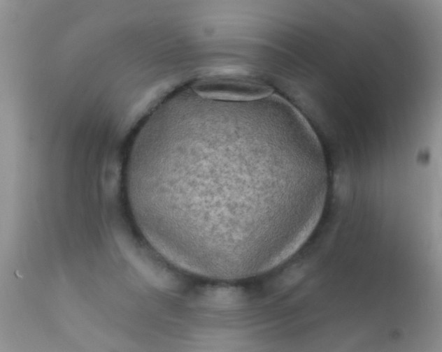 X0000110940304200907022139