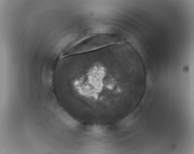 X0000110940305200907022139