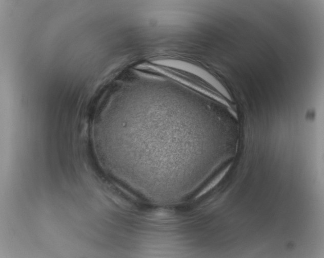 X0000110940308200907022139