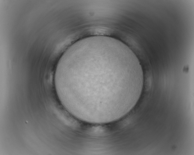 X0000110940310200907022139