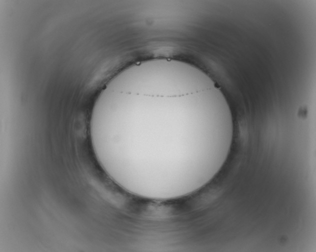 X0000110940311200907022139