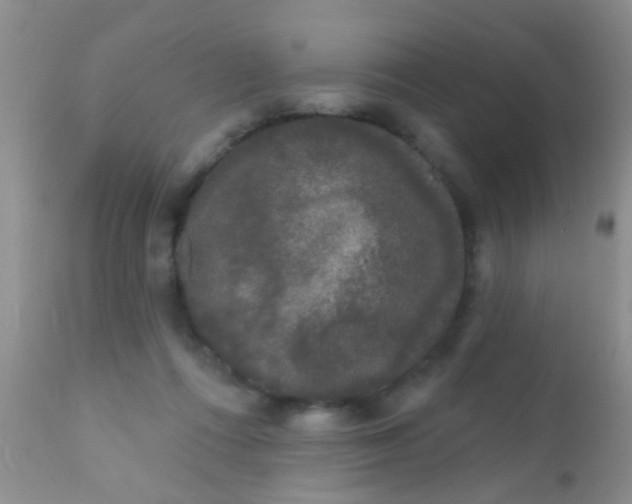 X0000110940312200907022139