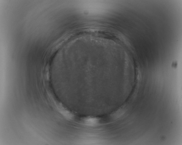 X0000110940313200907022139