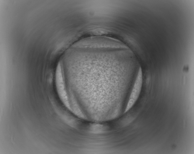 X0000110940315200907022139