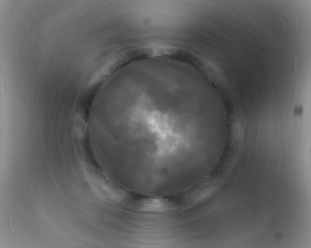 X0000110940316200907022139