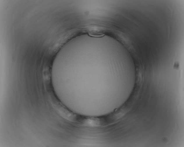 X0000110940317200907022139