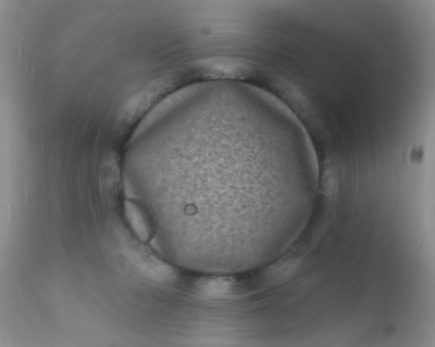 X0000110940318200907022139