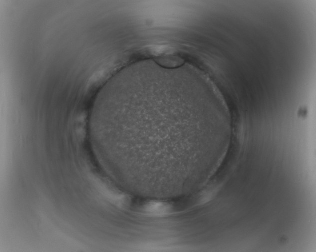 X0000110940319200907022139