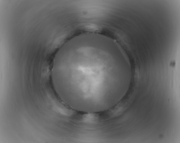 X0000110940320200907022139