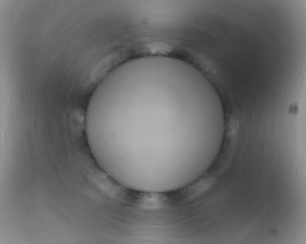 X0000110940321200907022139