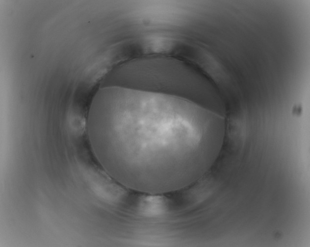 X0000110940324200907022139