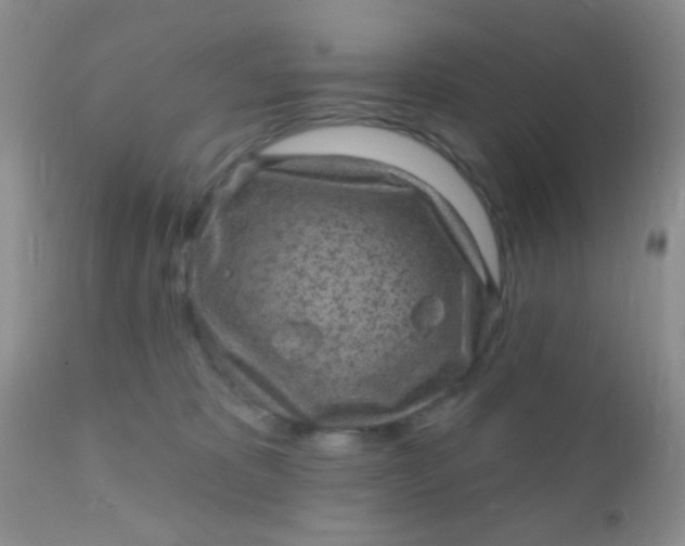 X0000110940325200907022139