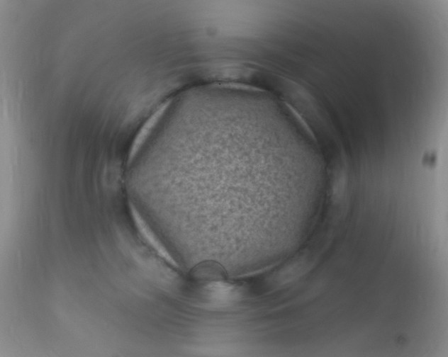 X0000110940326200907022139