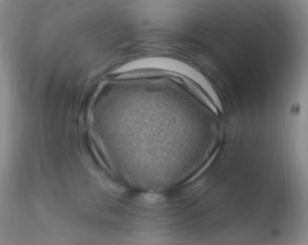 X0000110940327200907022139