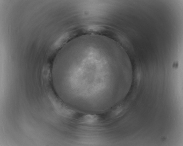 X0000110940328200907022139