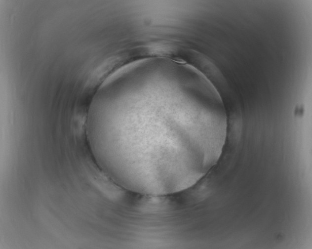 X0000110940329200907022139