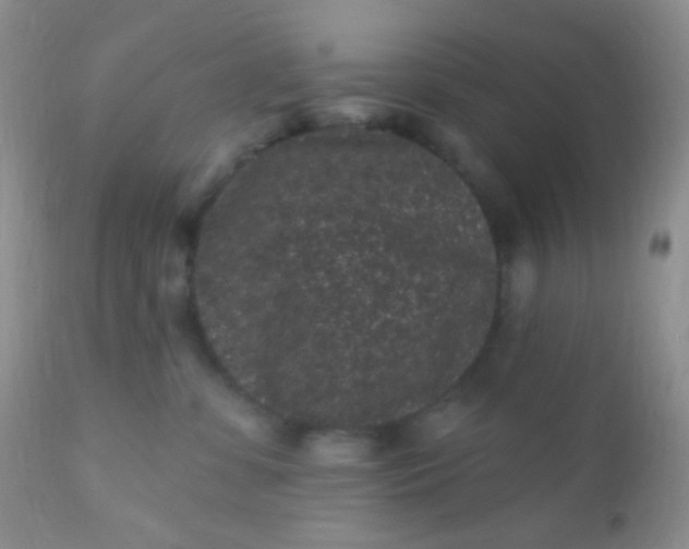 X0000110940331200907022139