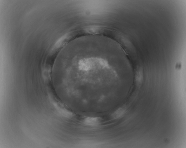 X0000110940332200907022139