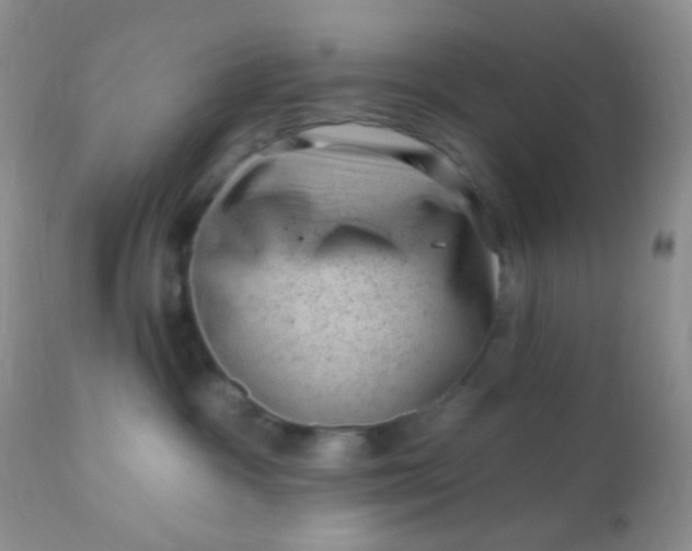 X0000110940333200907022139