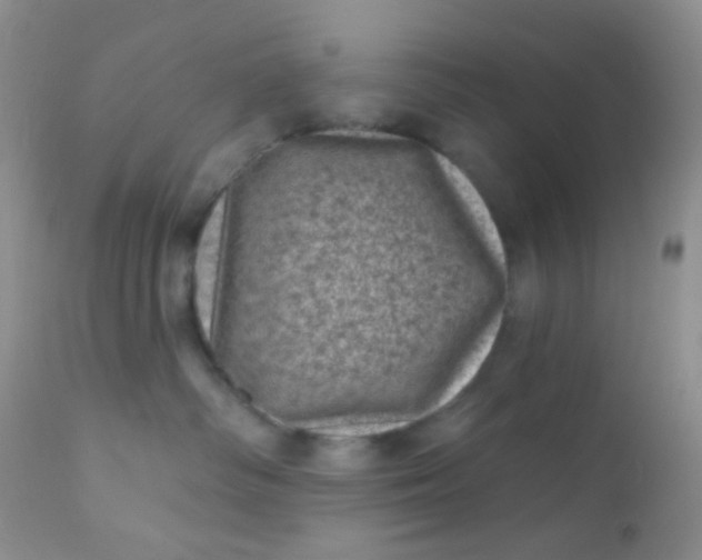 X0000110940334200907022139