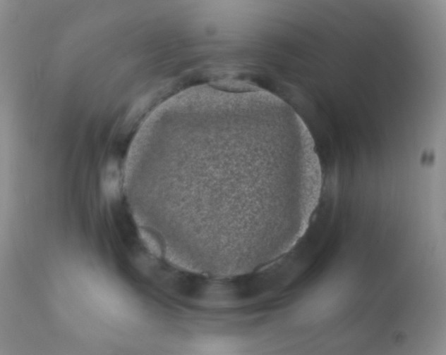 X0000110940335200907022139