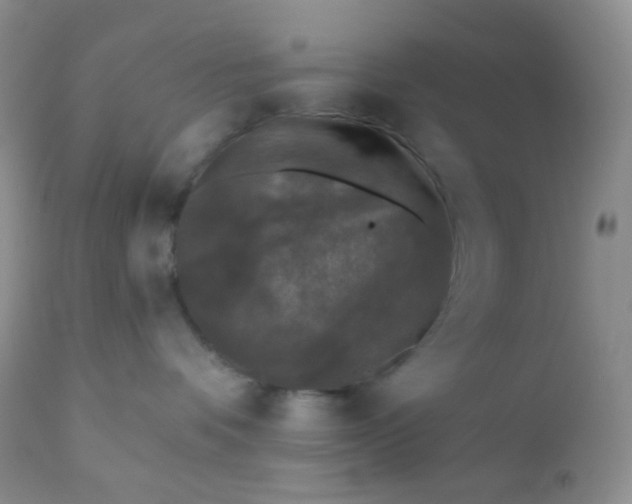 X0000110940336200907022139