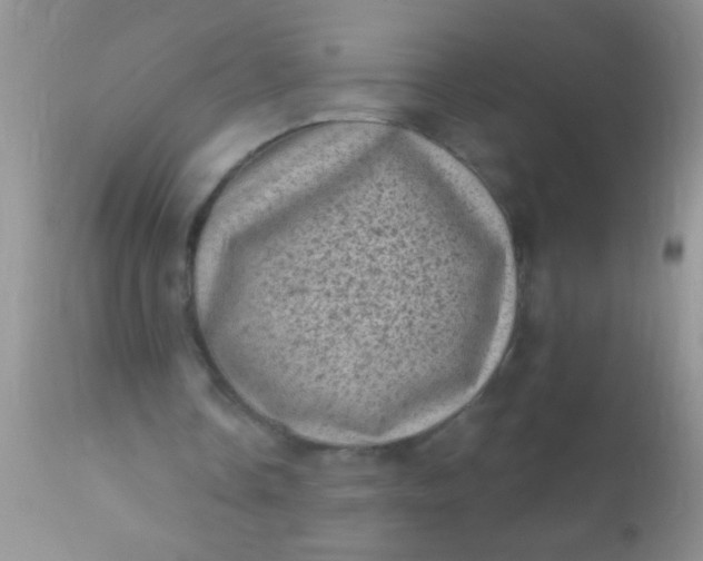 X0000110940338200907022138