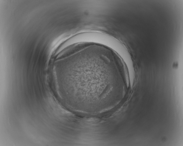 X0000110940340200907022138