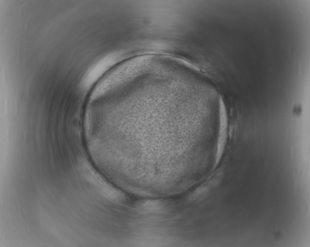 X0000110940341200907022138