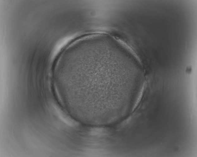 X0000110940342200907022138