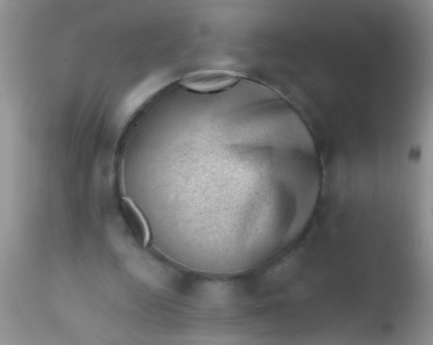 X0000110940344200907022138