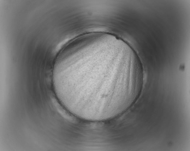 X0000110940345200907022138