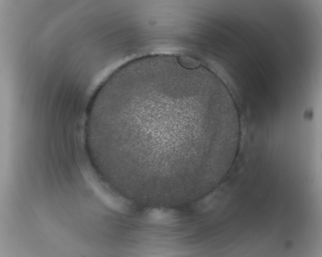 X0000110940346200907022138