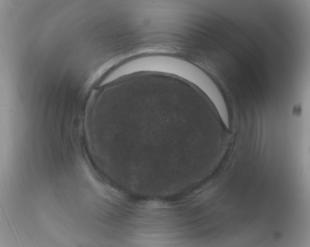 X0000110940348200907022138