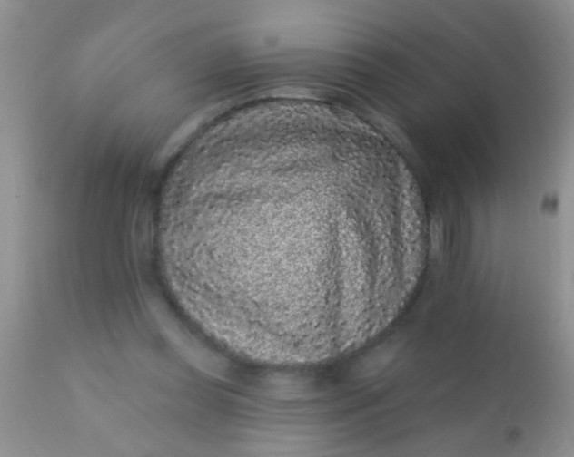 X0000110940349200907022138