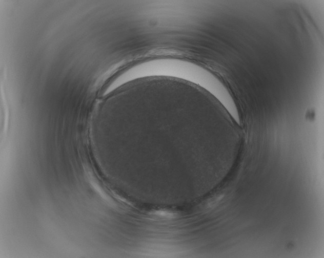 X0000110940352200907022138