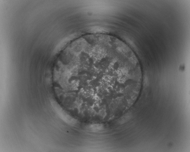 X0000110940353200907022138