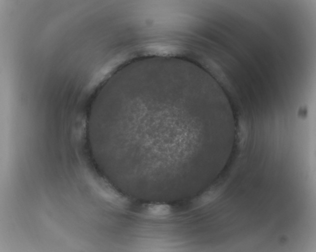 X0000110940355200907022138