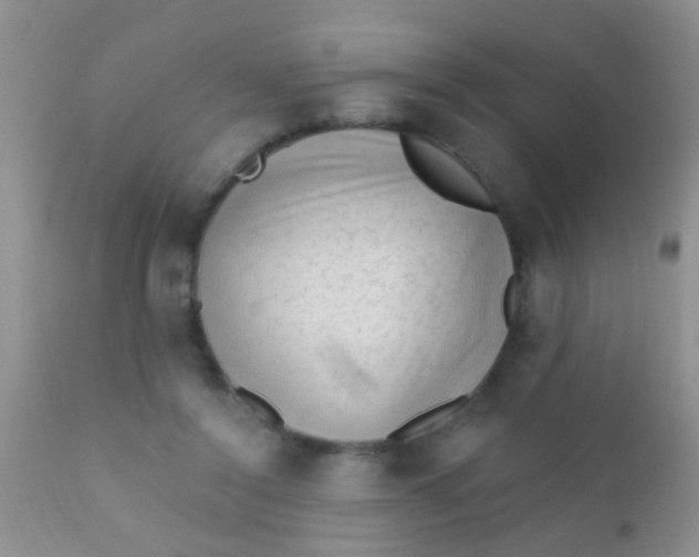 X0000110940356200907022138