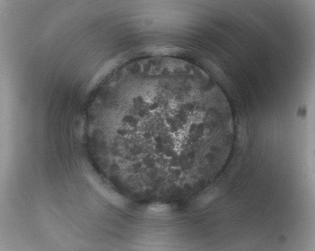 X0000110940357200907022138