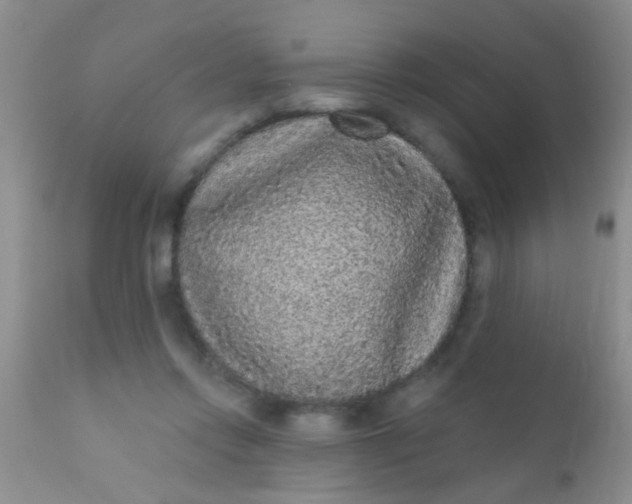 X0000110940358200907022138