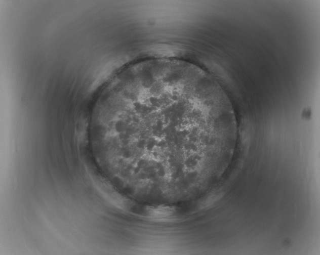 X0000110940359200907022138