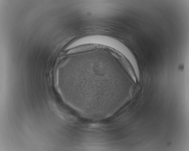 X0000110940360200907022138