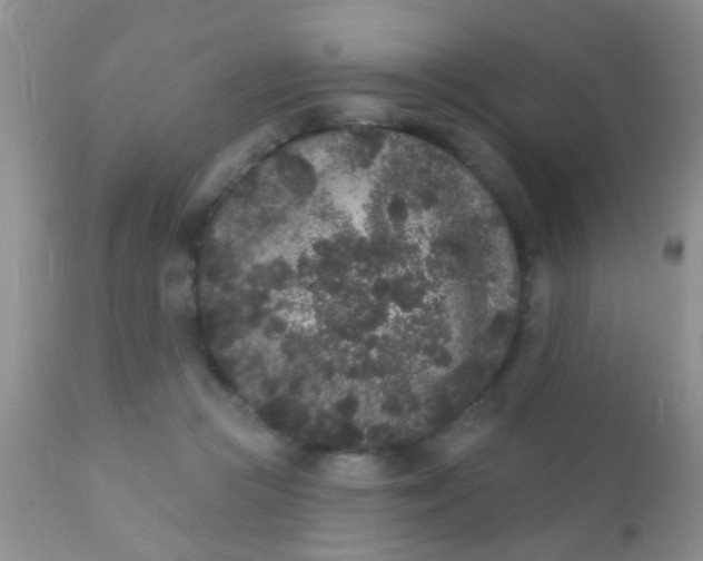 X0000110940361200907022138