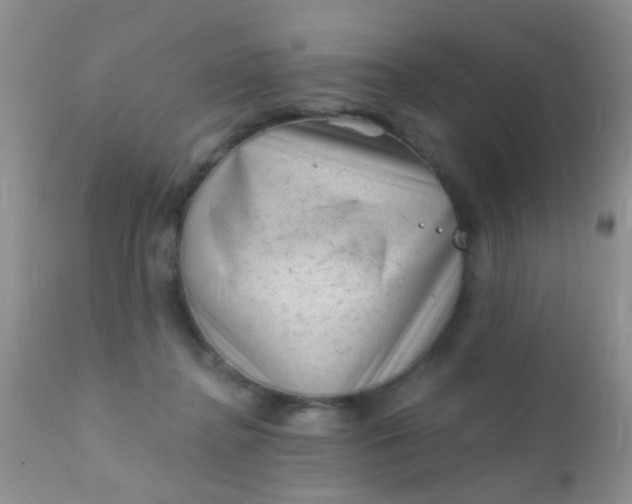 X0000110940364200907022138