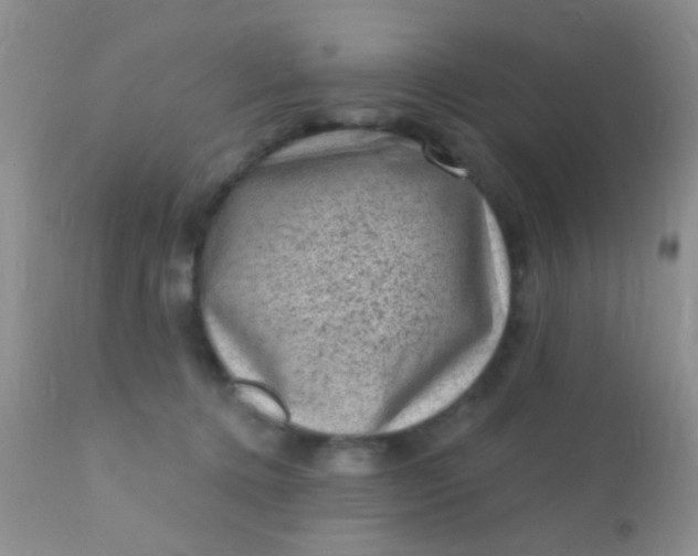 X0000110940368200907022139